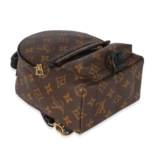 Louis Vuitton Monogram Canvas Mini Palm Springs - Picture 4 of 7